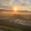 brummen3