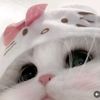 lovelyraa_27
