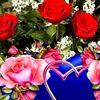 arshad.bloch24
