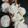 rizq.q2