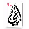 ali1234_043