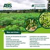 ABS service