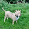 fitzy027