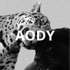 aody.app