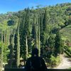 fadhilah_1107