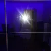 nellisek011