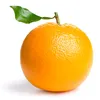 marwincastroverde