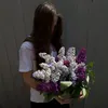 procto_0.0