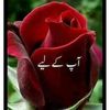 ali.hassan5247
