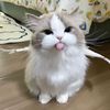 doubleqq__