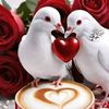 user6619810748176