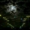 m.hsn7l