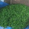 petani.sayur0