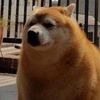 team_epic_kelpies