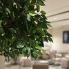 Alkhurayji_R