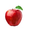 the_apple06