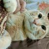 asysy23