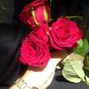 md.joynal0903