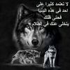 ahmad.abu.toam