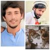 irfan_ullah2020