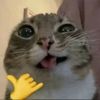 not_amanueal2