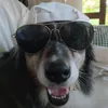 thisisbee4