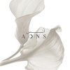 aons_sa