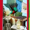 angiguate