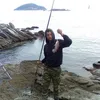 xrhstosapostolidi