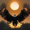 el.aguila..dorada16