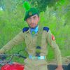 hammadarain530