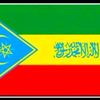 awollmohammed751