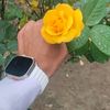 sohailmarwat525