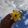 assgc_13