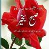 wasi.ullah015