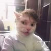 layth_a01