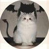 ._charleschevalier_.6