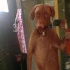 renn_nak_meletup