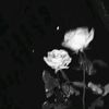 lwrm_