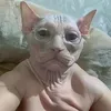mandarinuser
