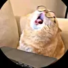 kira_the_great