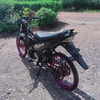 arief_r150