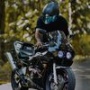 teddy_boy_67
