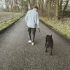 hugo.deruiter