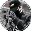 a.....k.mazloom