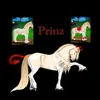 wild_horse_island16