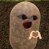 pittah_nung