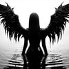 adel_xxq