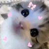 aisyah_msn