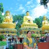 phurlamu800